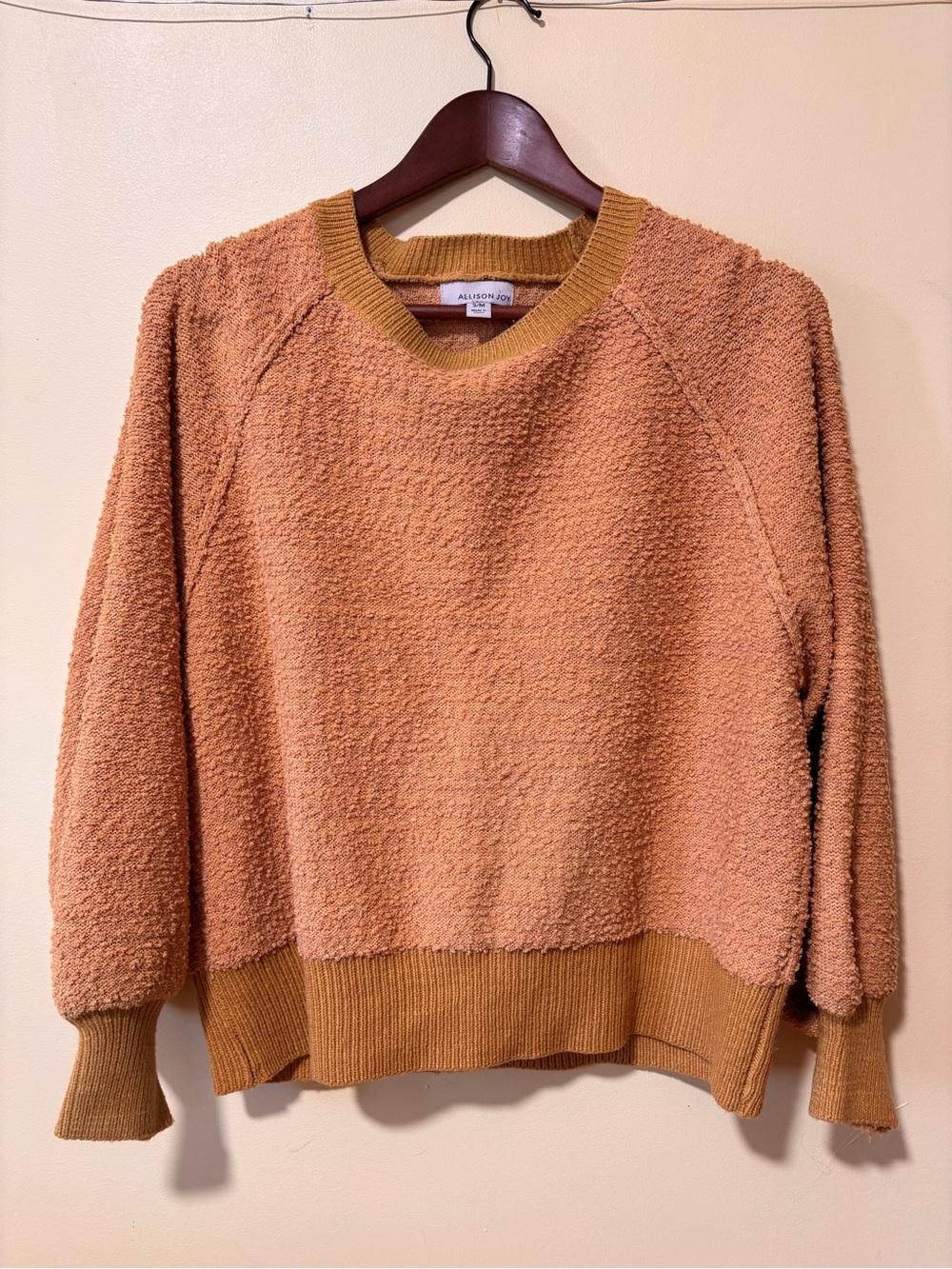 Allison Joy Golden Rod Textured Plush Crewneck Sweater